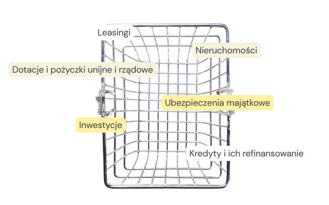Nieruchomości, leasingi, ubezpieczenia majątkowe, dotacje i pożyczki unijne i rządowe, kredyty i ich refinansowanie, inwestycje